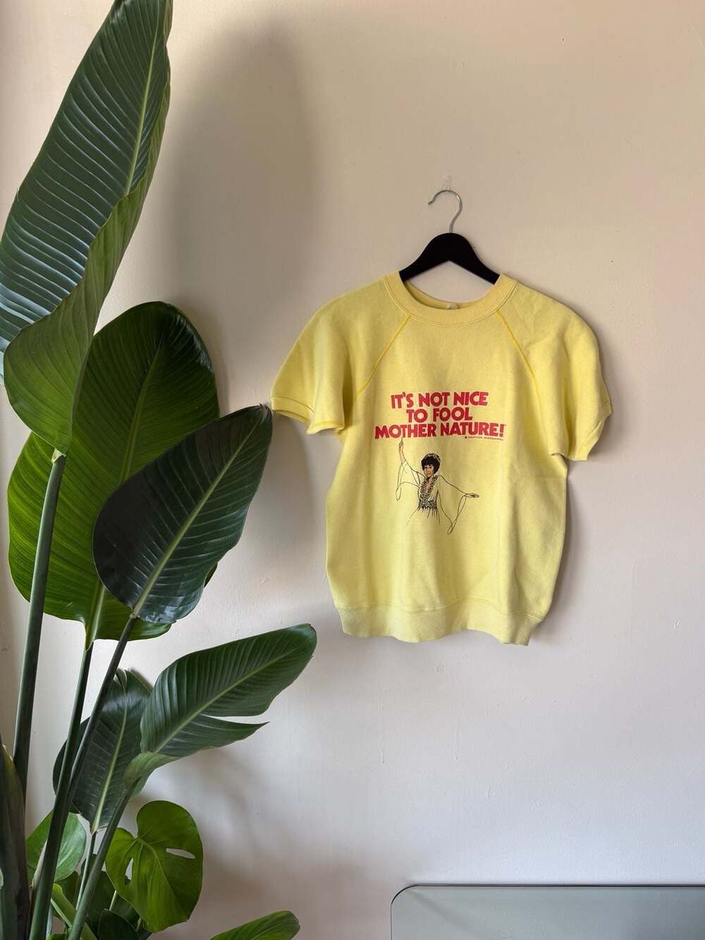 Vintage 1970s Velva Sheen Chiffon Margarine It's Not Nice To Fool Mother Nature